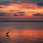 Michael Whitacre Photo 25