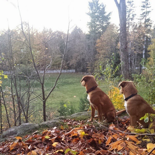 Robbie Duncan Photo 35