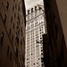 David Eaton Photo 18