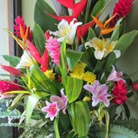 Julie Talley Photo 9