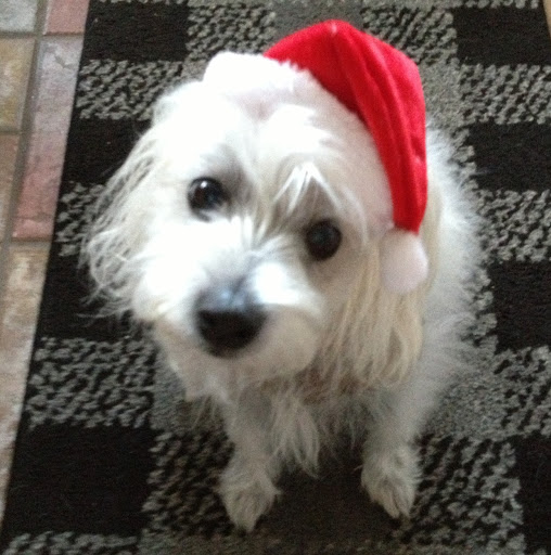 Terry Rutledge Photo 24