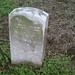 Alfred Davis Photo 49