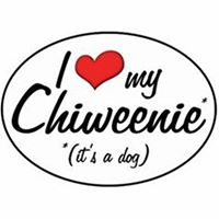 Jacqueline Witt Photo 12