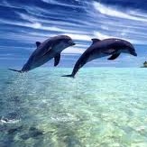 Mary Michels Photo 29