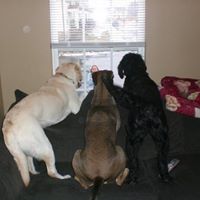 Lori Gilliland Photo 5