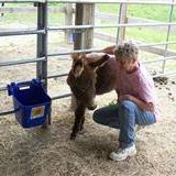Kelly Stone Photo 39