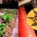 Martha Bacon Photo 30