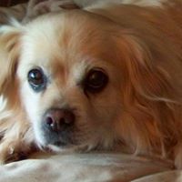 Laura Batchelor Photo 18