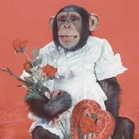 Chris Burnett Photo 4 Chris Burnett Photo 4