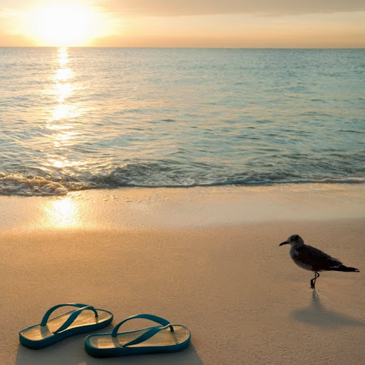 Paul Stuart Photo 30