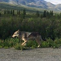 Sue Gruber Photo 10