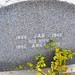 Jerry Mazur Photo 18