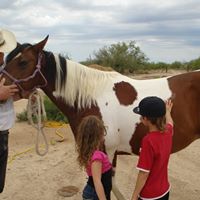 Susan Kaster Photo 11