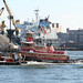 Janice York Photo 16