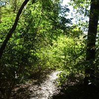 Debbie Walter Photo 8