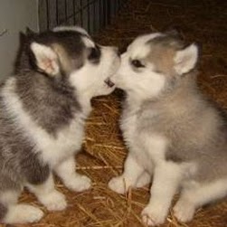 Christina May Photo 33