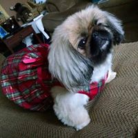 Kelley Scott Photo 48