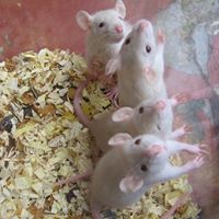 Cassandra Jennings Photo 15