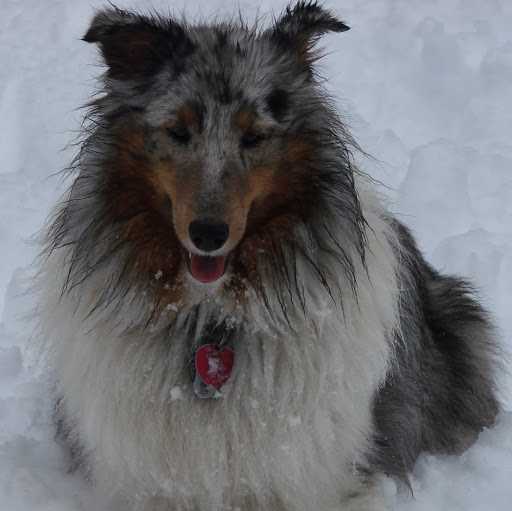 Valerie Donovan Photo 12