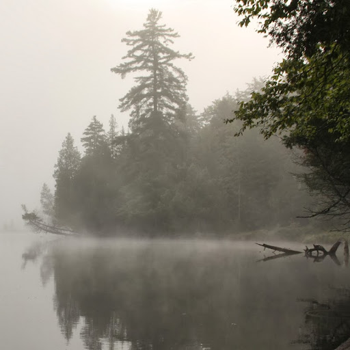 Kyle Richardson Photo 15