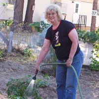 Sandra Wylie Photo 10