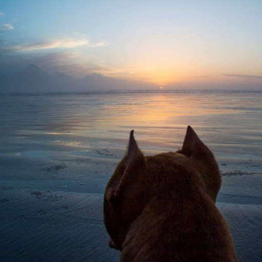 Nicole Kerr Photo 49