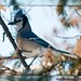 Jay Quick Photo 18