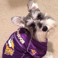 Robin Dawson Photo 32