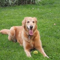 Mary Spangler Photo 35