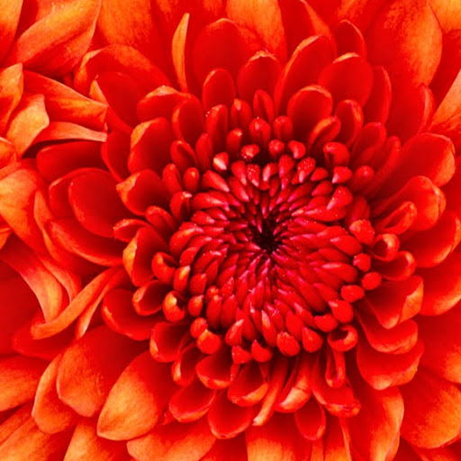 Maria White Photo 15