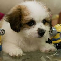 Julian Ruiz Photo 21