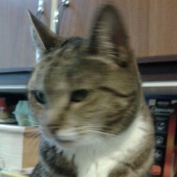 Karen Marchand Photo 17