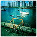 David Nitto Photo 10