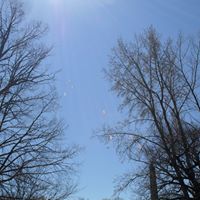 Fran Lawrence Photo 29