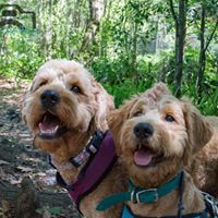 Laura Harmon Photo 33