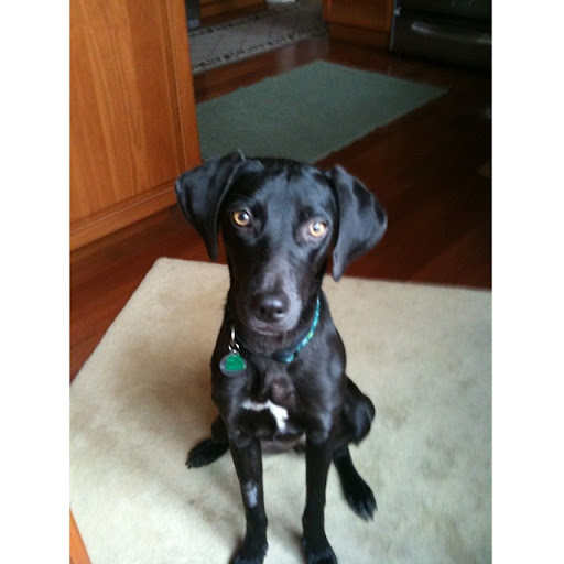 Gordon Shearer Photo 5