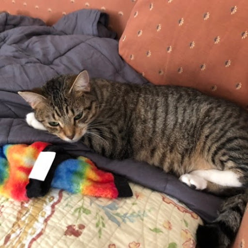 Janice Beckham Photo 5