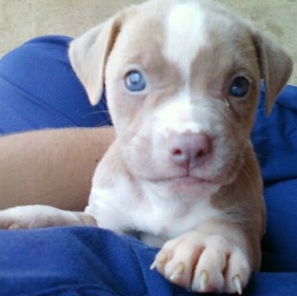 Elizabeth Parish Photo 30