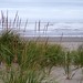 Janice Sheehan Photo 9