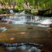 John Heber Photo 24