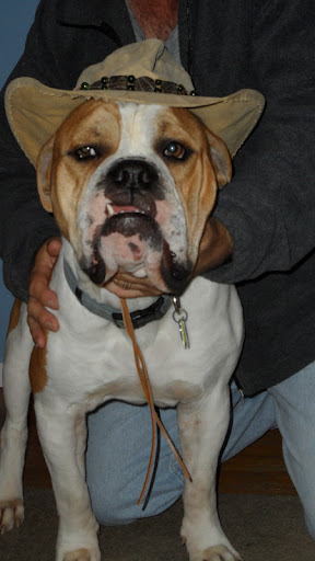 David Jasper Photo 30 David Jasper Photo 30