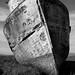 Shawn Miller Photo 27