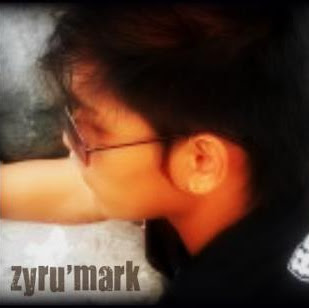 Mark Villa Photo 11