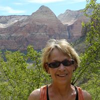 Sandra Chamberlain Photo 10