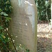 Ann Bishop Photo 44