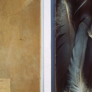 Kathy Lawrence Photo 19