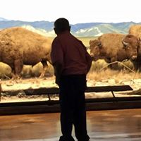 Phillip Ball Photo 8