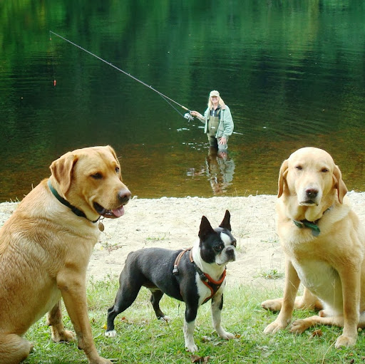 Elizabeth Gandy Photo 5