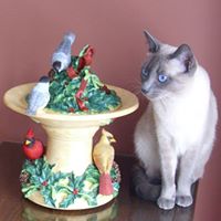 Rebecca Huffman Photo 19