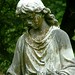 Mary Strickland Photo 8